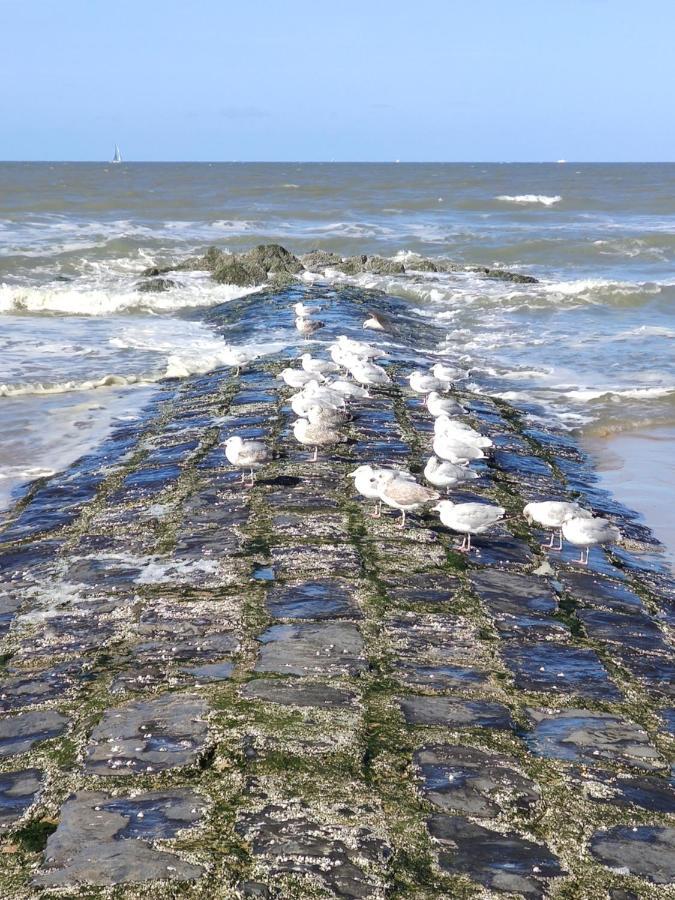 Seabreak4You Bredene Exteriér fotografie